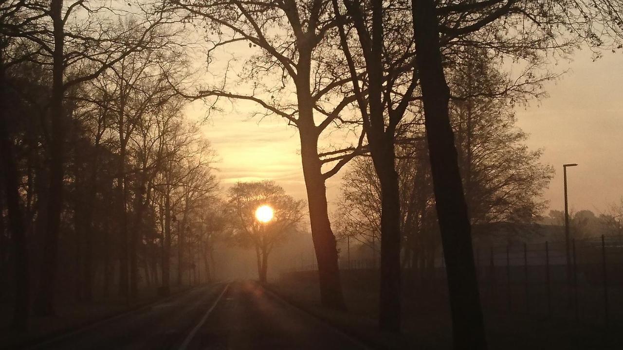 Fewoamglubigsee Wendisch Rietz Exteriér fotografie