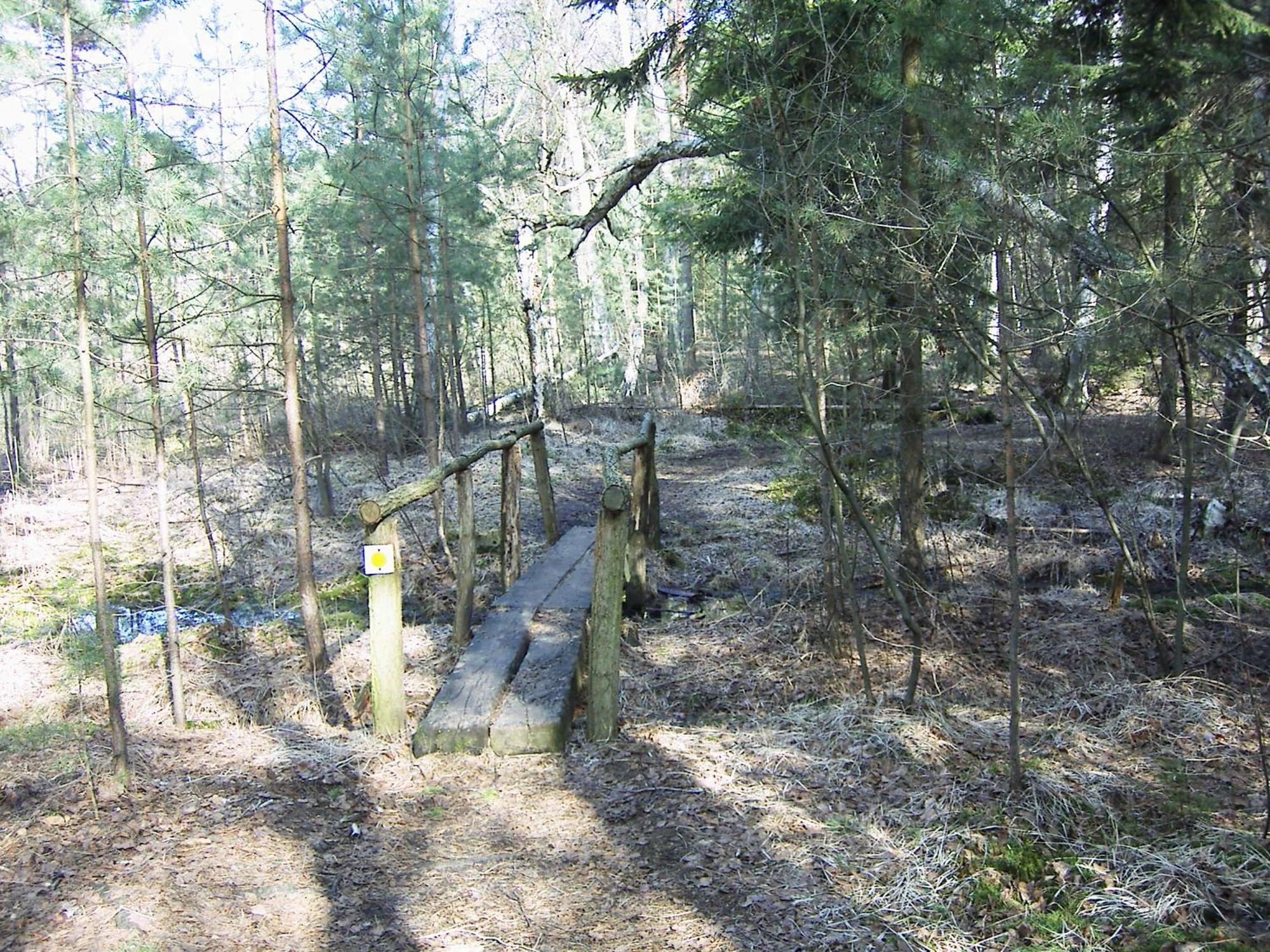 Fewoamglubigsee Wendisch Rietz Exteriér fotografie